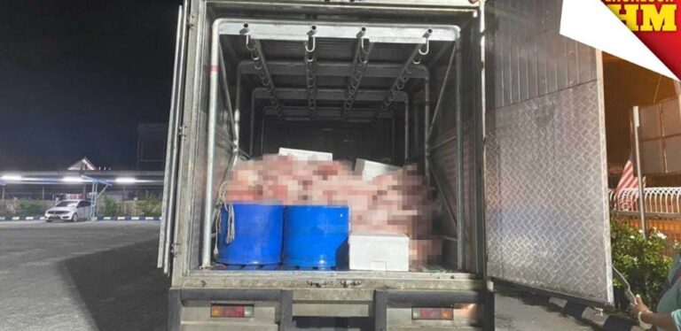 马来报揭露：拿督斯里涉嫌主导生猪肉走私，跨境船只运作曝光