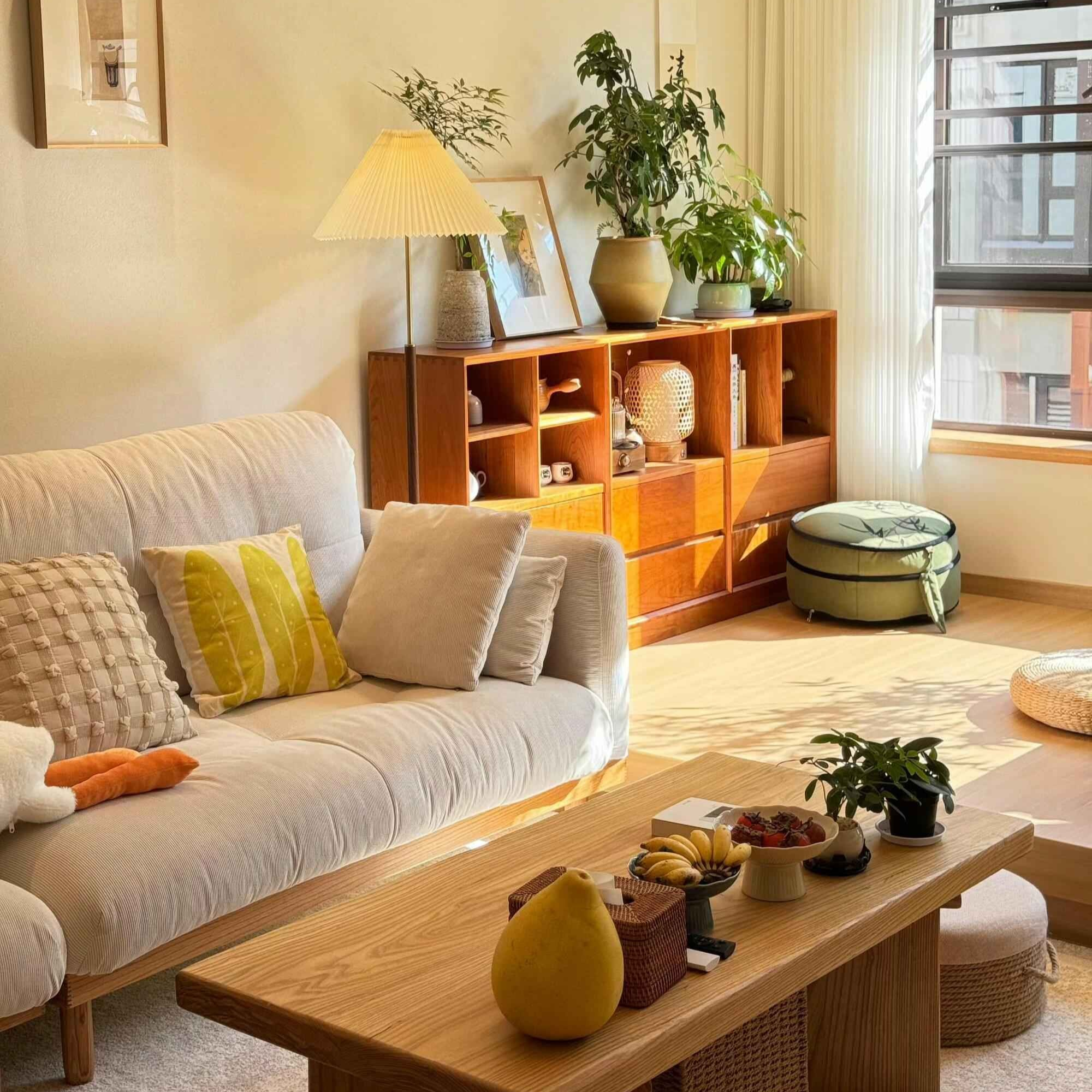 小预算出租房改造