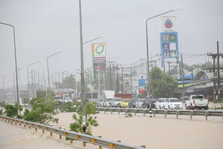 588883457_1444171457709209_742425188336978164_n