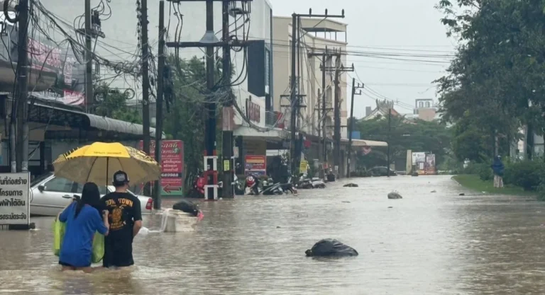 efbc88e585a8e59bbde78988efbc89e6b3b0e58d97e5a4a7e6b0b4e781be-e4b8bae4bd95e8bf99e4b988e4b8a5e9878defbc9fe6b3b0e5aa92e8a7a3e69e90e5bd93