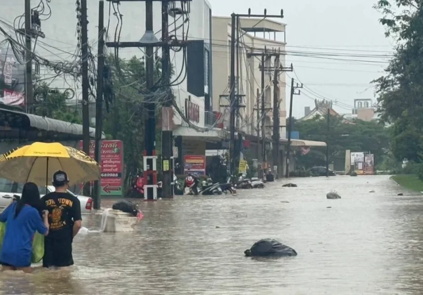 efbc88e585a8e59bbde78988efbc89e6b3b0e58d97e5a4a7e6b0b4e781be-e4b8bae4bd95e8bf99e4b988e4b8a5e9878defbc9fe6b3b0e5aa92e8a7a3e69e90e5bd93